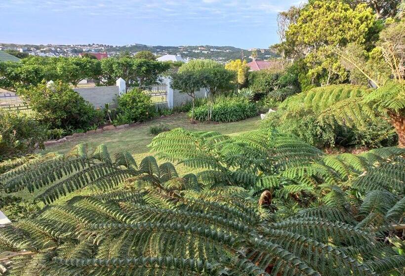 اتاق لوکس با چشم‌انداز دریا, Villa Vista Guest House