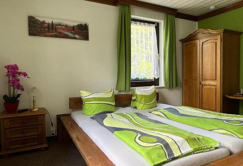 חדר סטנדרט, Pension Bennelliebschanke