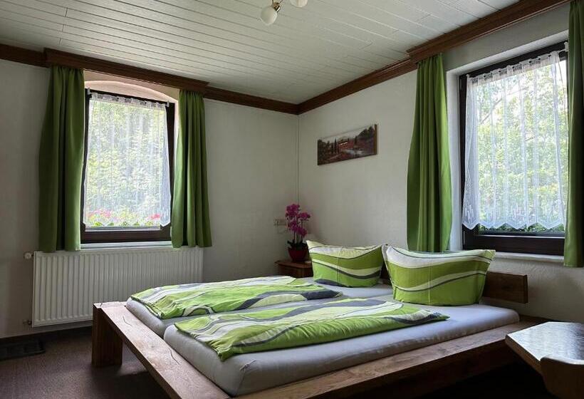 Номер Стандарт, Pension Bennelliebschanke