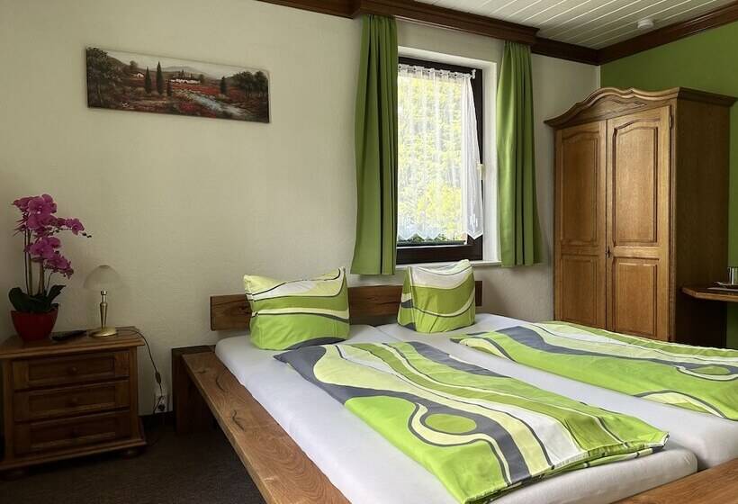 Номер Стандарт, Pension Bennelliebschanke