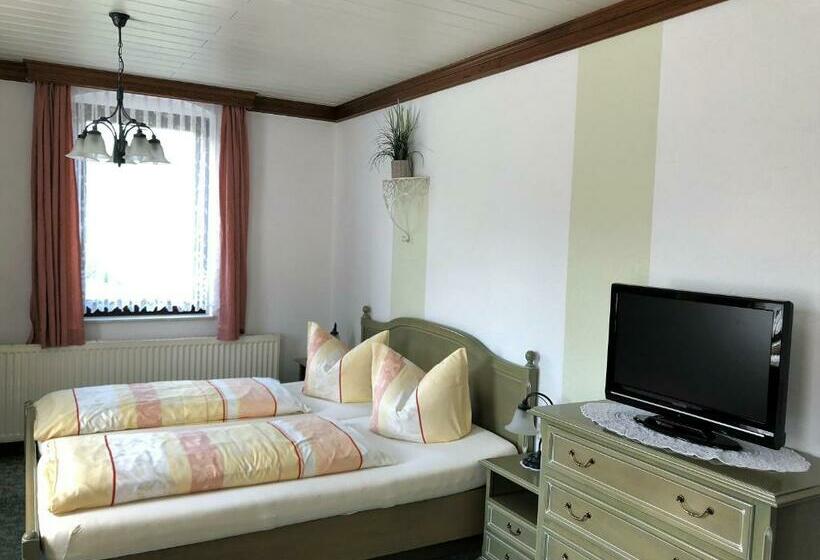 חדר סטנדרט, Pension Bennelliebschanke