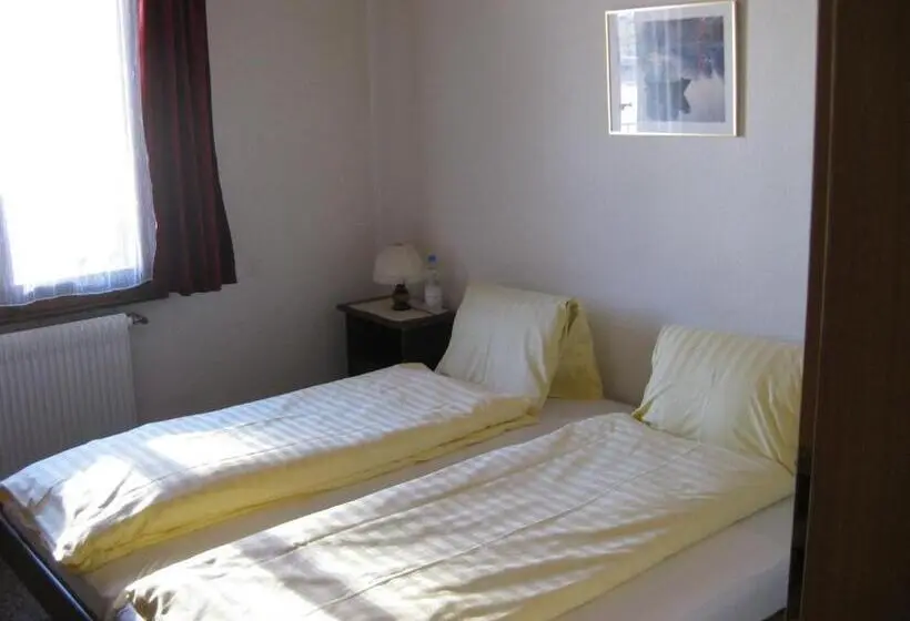 Standard-huone, Pension Spycher