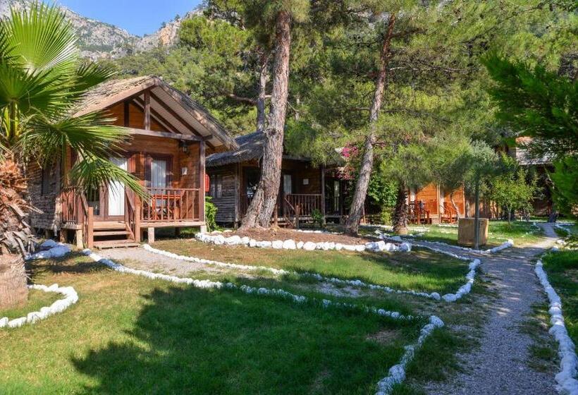 Номер Стандарт Вид на Сад, Sea Valley Lodge