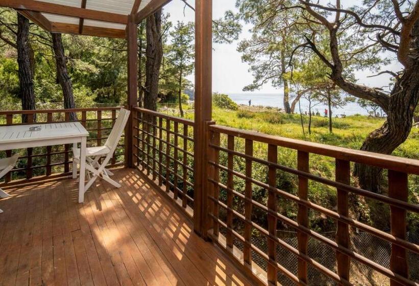 חדר סטנדרט נוף לים, Sea Valley Lodge