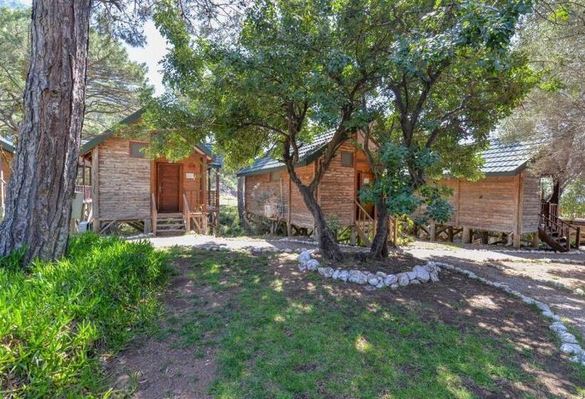 חדר סטנדרט נוף לים, Sea Valley Lodge