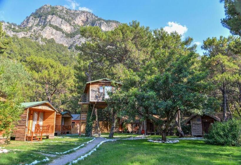 בית, חדר שינה 1, Sea Valley Lodge