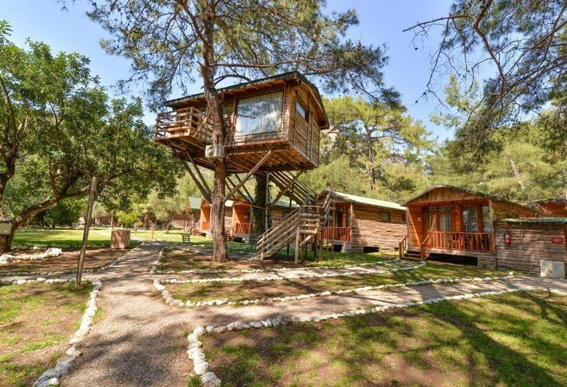 בית, חדר שינה 1, Sea Valley Lodge