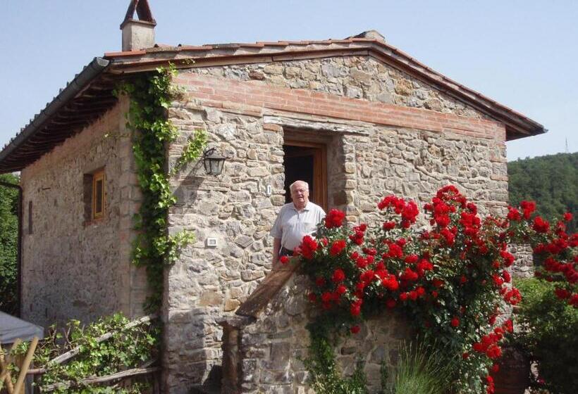 آپارتمان 1 خوابه, Villa Buonasera Agriturismo