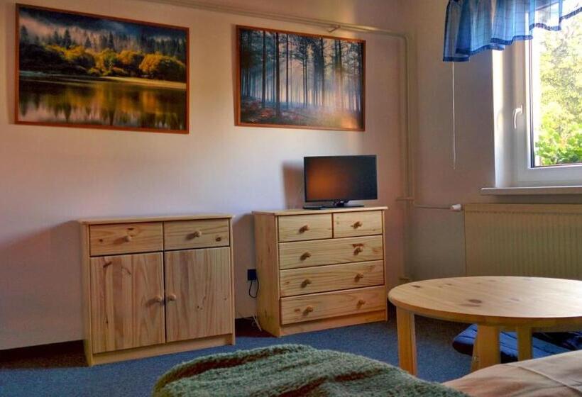 חדר סטנדרט, Hostinec U Pejska A Kocicky