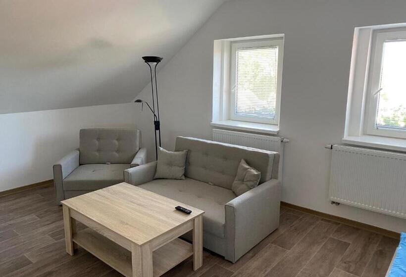 חדר סטנדרט, Hostinec U Pejska A Kocicky