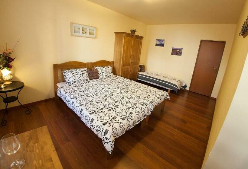 スタンダードルーム, Penzion Zatisi