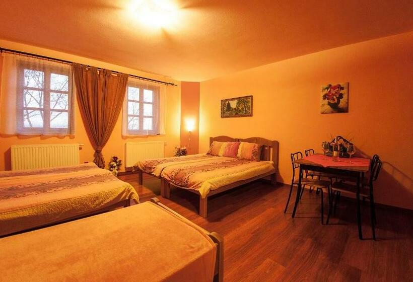 スタンダードルーム, Penzion Zatisi