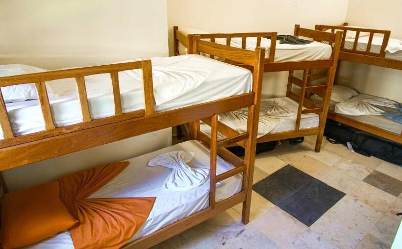 共用房间的床, Pousada Meeting Point & Kiteschool