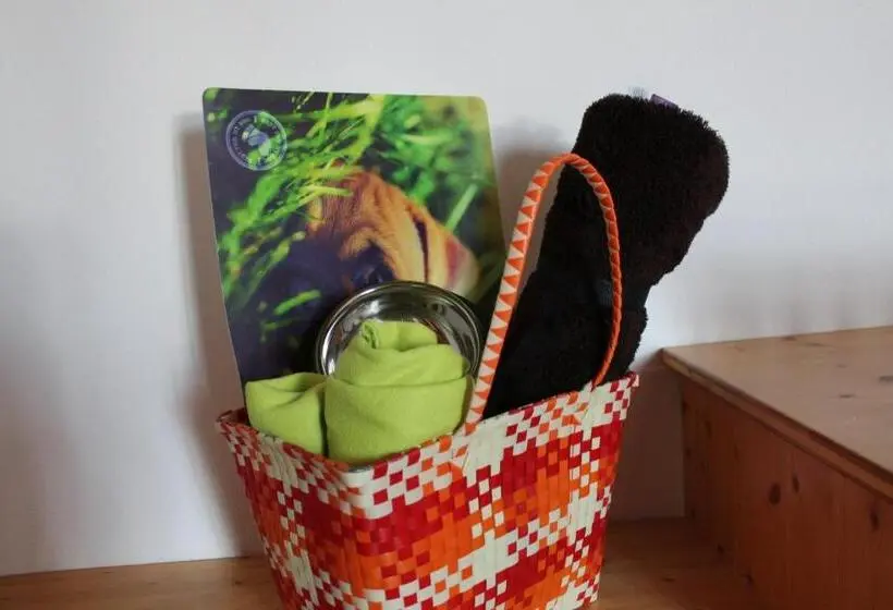 Standard-huone, Pension Sonnleit´n   Urlaub Mit Hund