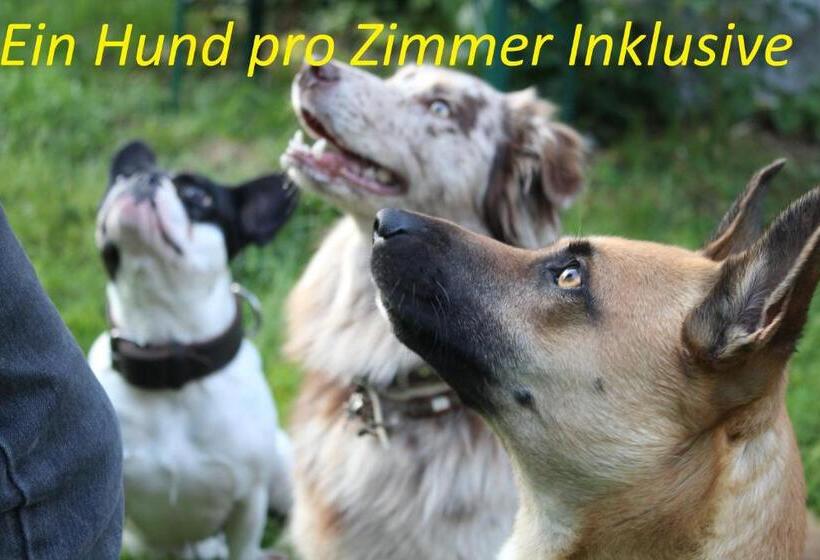 スタンダードルーム, Pension Sonnleit´n Urlaub Mit Hund