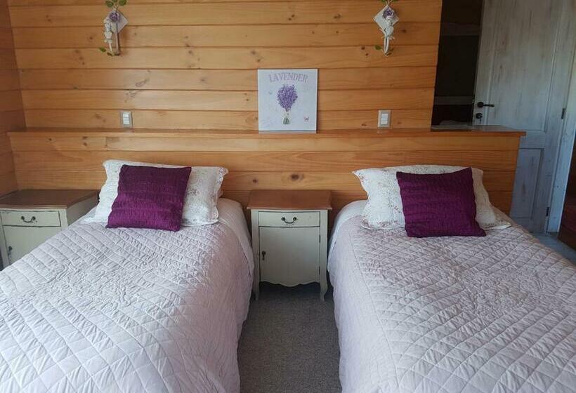 اتاق استاندارد, B&b De German