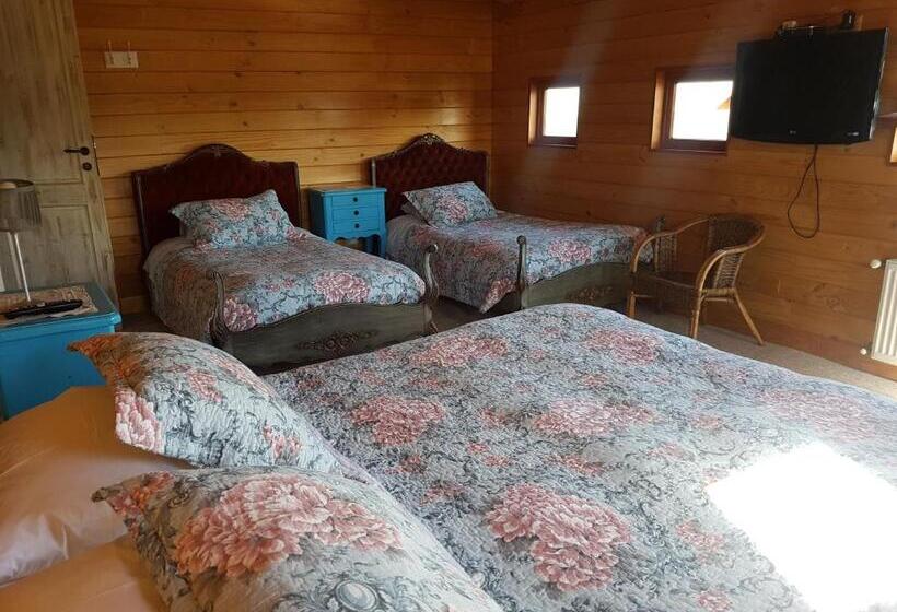 اتاق استاندارد چهار تخته, B&b De German