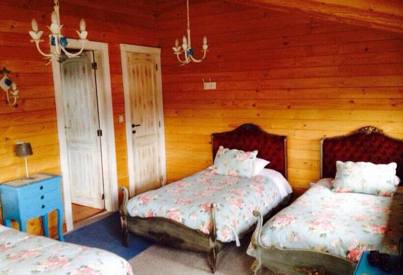 اتاق استاندارد چهار تخته, B&b De German