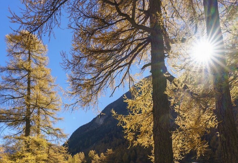 חדר סטנדרט חדר אמבטיה משותף, Gasthaus Spinas