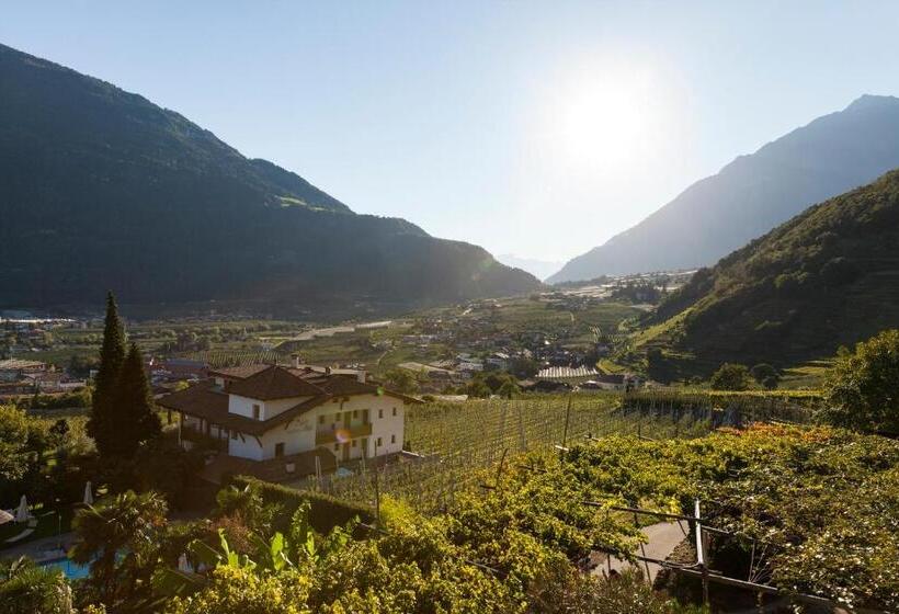 סטודיו סטנדרט עם מרפסת, Apartments Oberdorner