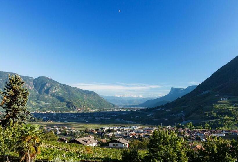 סטודיו סטנדרט עם מרפסת, Apartments Oberdorner