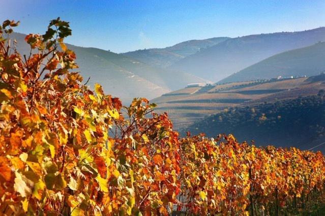 חדר סטנדרט לשלושה, Casa Do Brasao