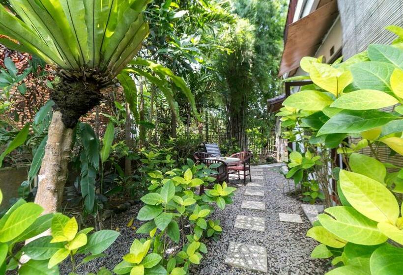 标准房带园景, Tropical Bali