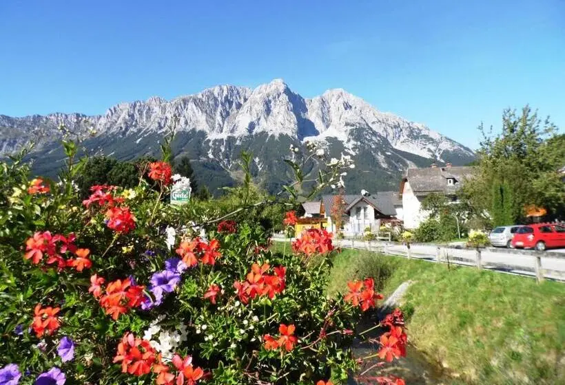 Camera Standard Individuale, Pension Tilly