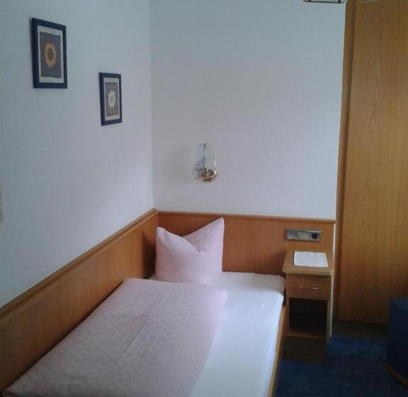 标准单人间, Fremdenpension Alpenruhe