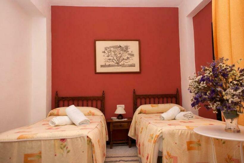 Номер Стандарт, Pensión Cristina