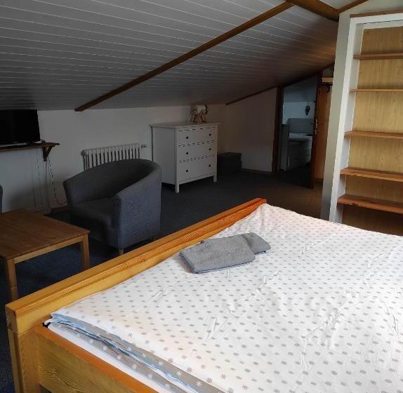 חדר משפחתי, Penzion Adler