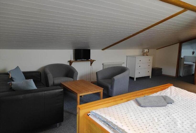 חדר משפחתי, Penzion Adler