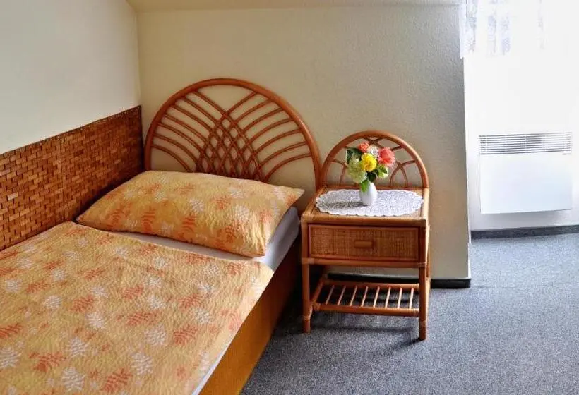 スタンダードシングルルーム, Pension Habermannova Vila