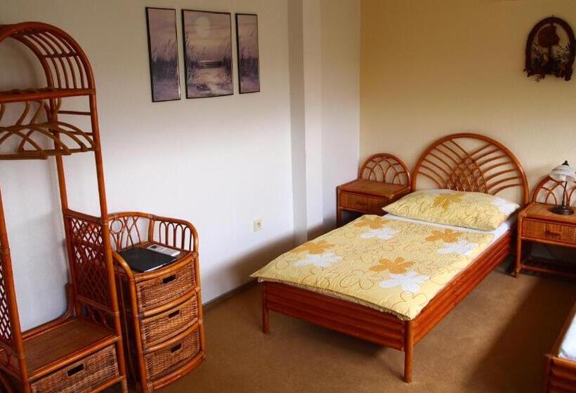 标准间, Pension Habermannova Vila