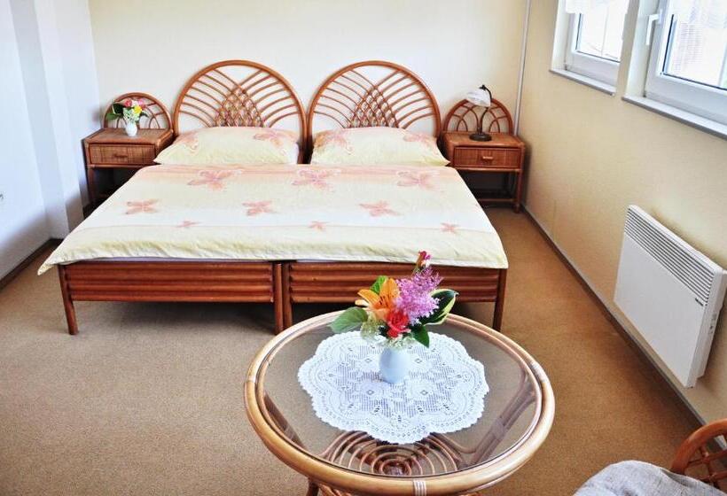 标准间, Pension Habermannova Vila