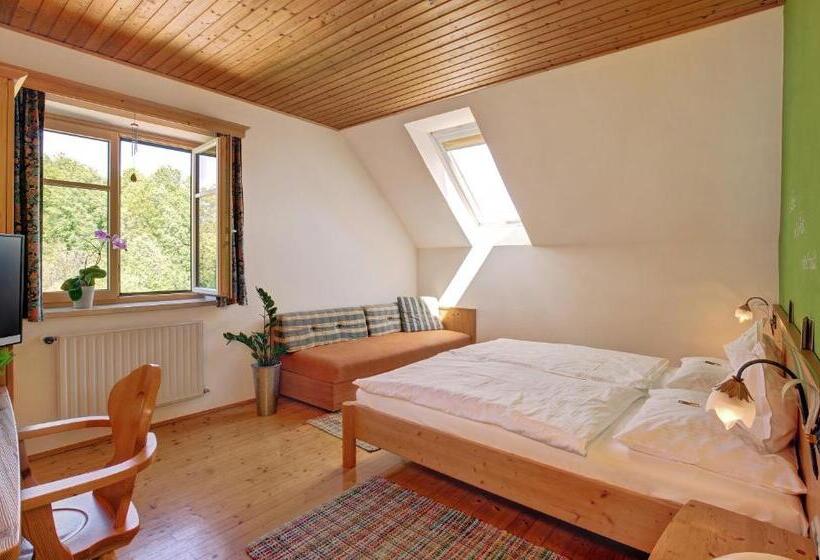 חדר קומפורט, Birkenhof Loipersdorf