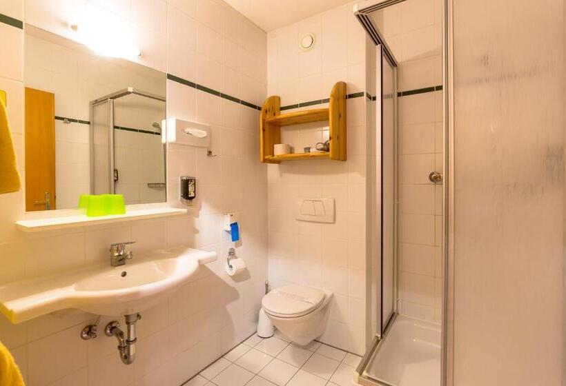 חדר קומפורט, Birkenhof Loipersdorf