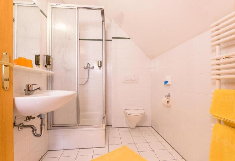 חדר קומפורט, Birkenhof Loipersdorf