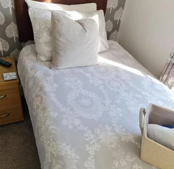 اتاق استاندارد یک نفره, Glascoed Guest House