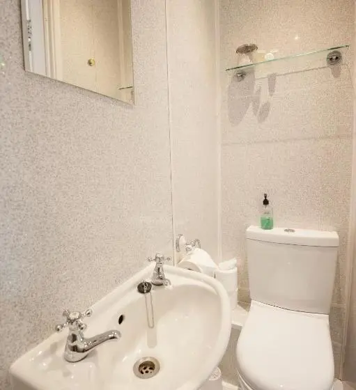 اتاق استاندارد یک نفره, Glascoed Guest House