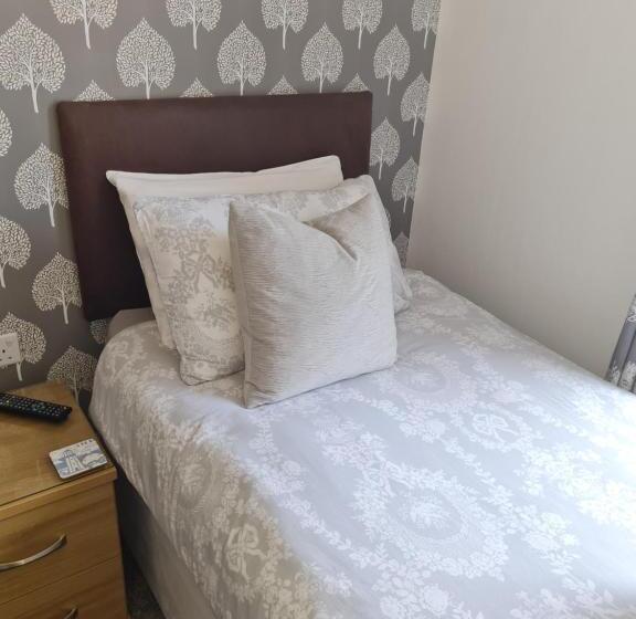 스탠다드 싱글 룸, Glascoed Guest House