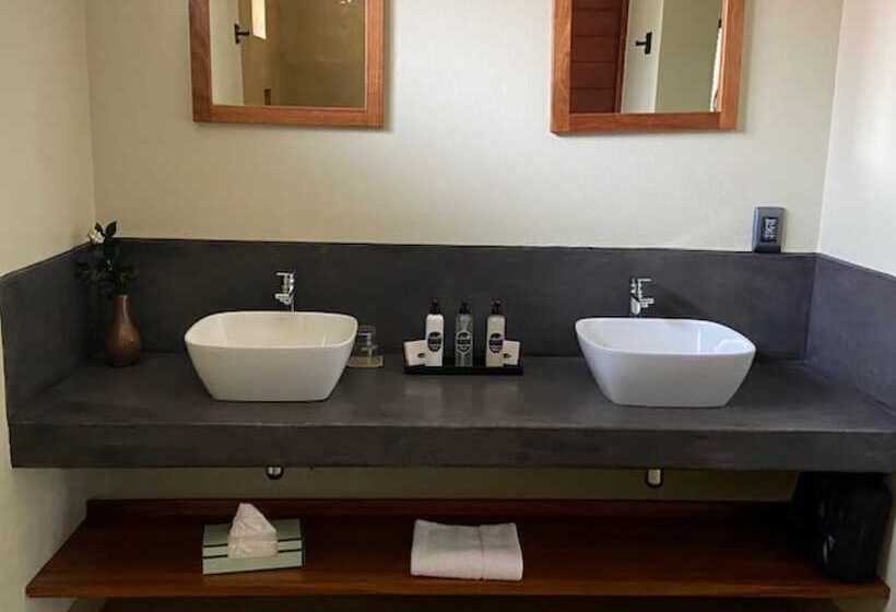 חדר דלוקס, La Lechere Guest House