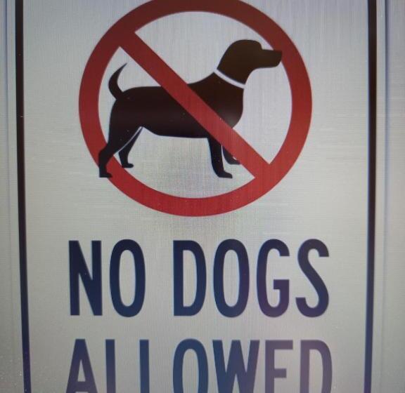 استودیوی استاندارد, Motel Saunapunkt