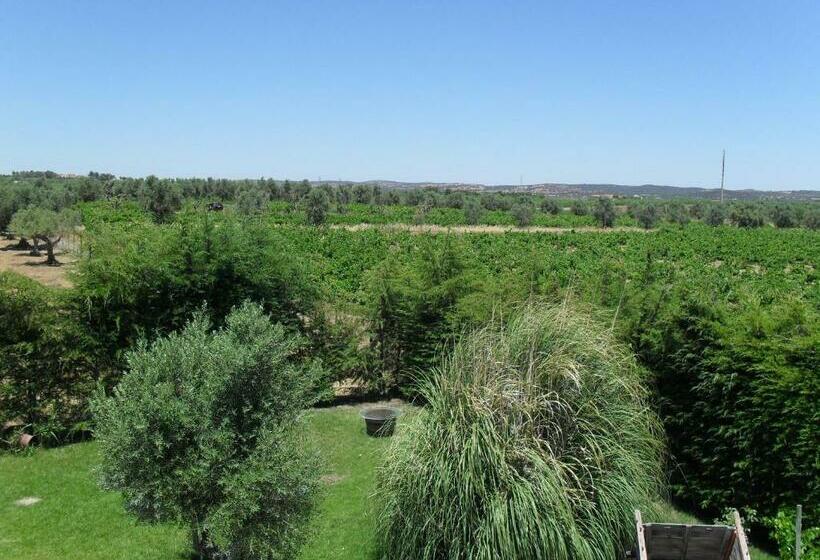 اتاق استاندارد با بالکن, Terras De Monsaraz