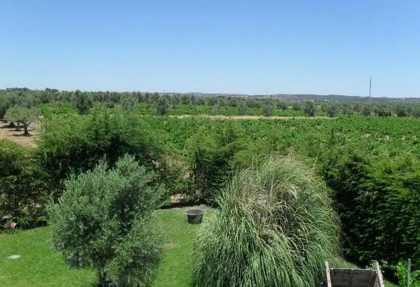 バルコニー付きスタンダードルーム, Terras De Monsaraz