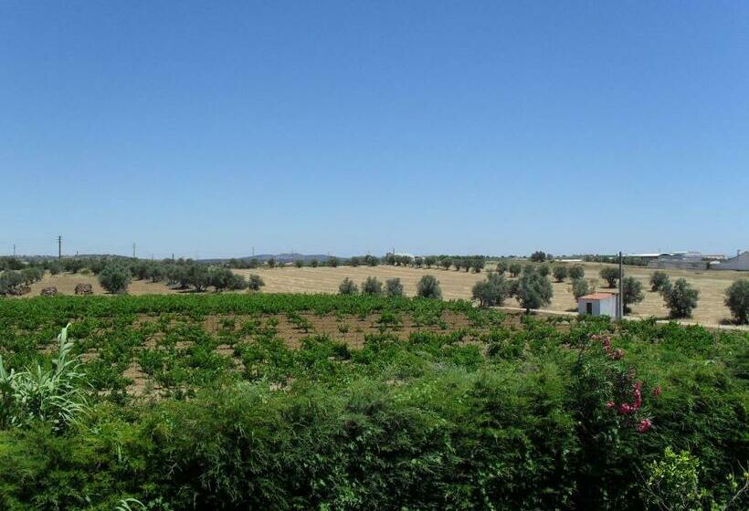 اتاق استاندارد با بالکن, Terras De Monsaraz