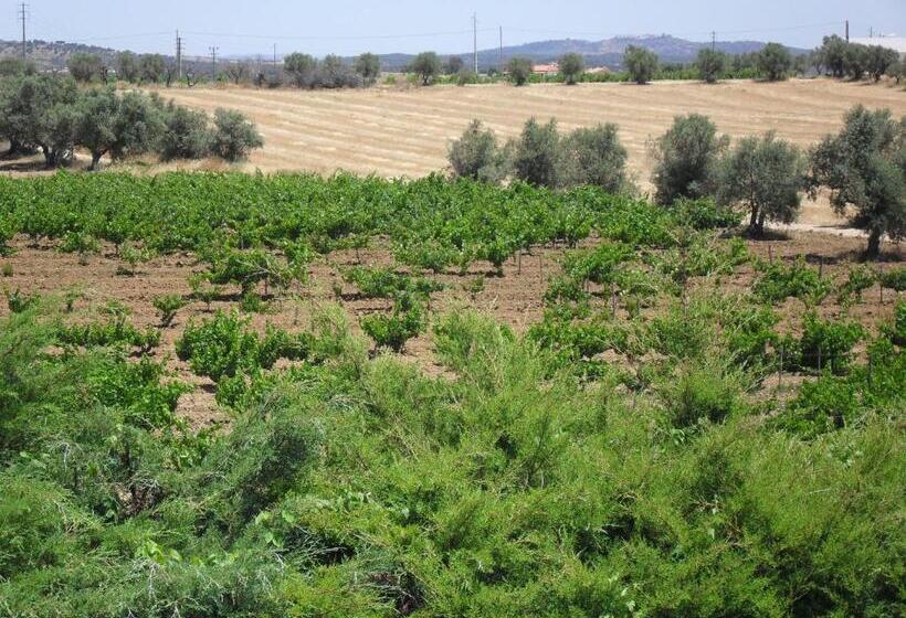 اتاق استاندارد با بالکن, Terras De Monsaraz