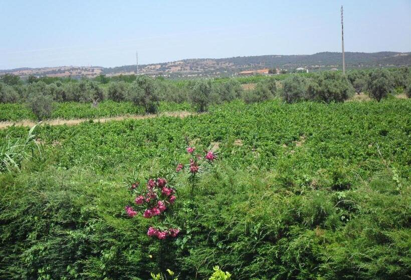 اتاق استاندارد با بالکن, Terras De Monsaraz