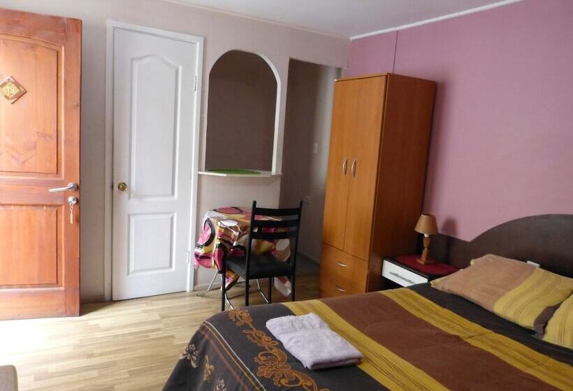 스탠다드 싱글 룸, Hostal Residencia Blest Gana