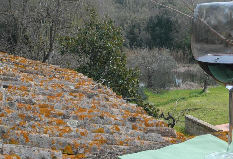 テラス付き１ベッドルームアパートメント, Pieve Di Caminino Historic Farm